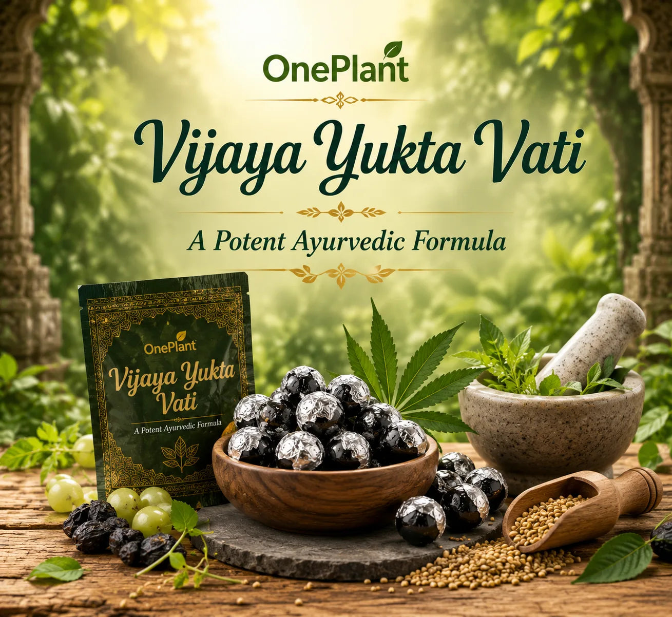 Vijaya Yukta Vati - Pack of 30 Pills
