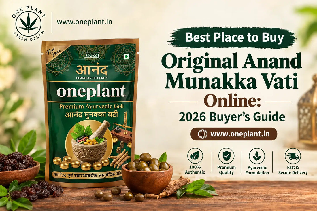 Best Place to Buy Original Anand Munakka Vati Online