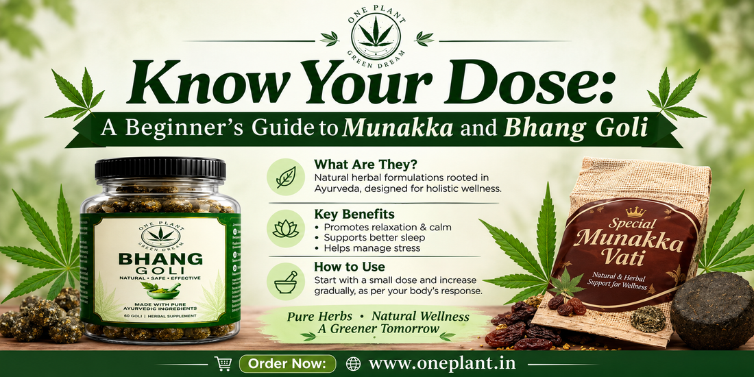 Know Your Dose: A Beginner’s Guide to Munakka and Bhang Goli