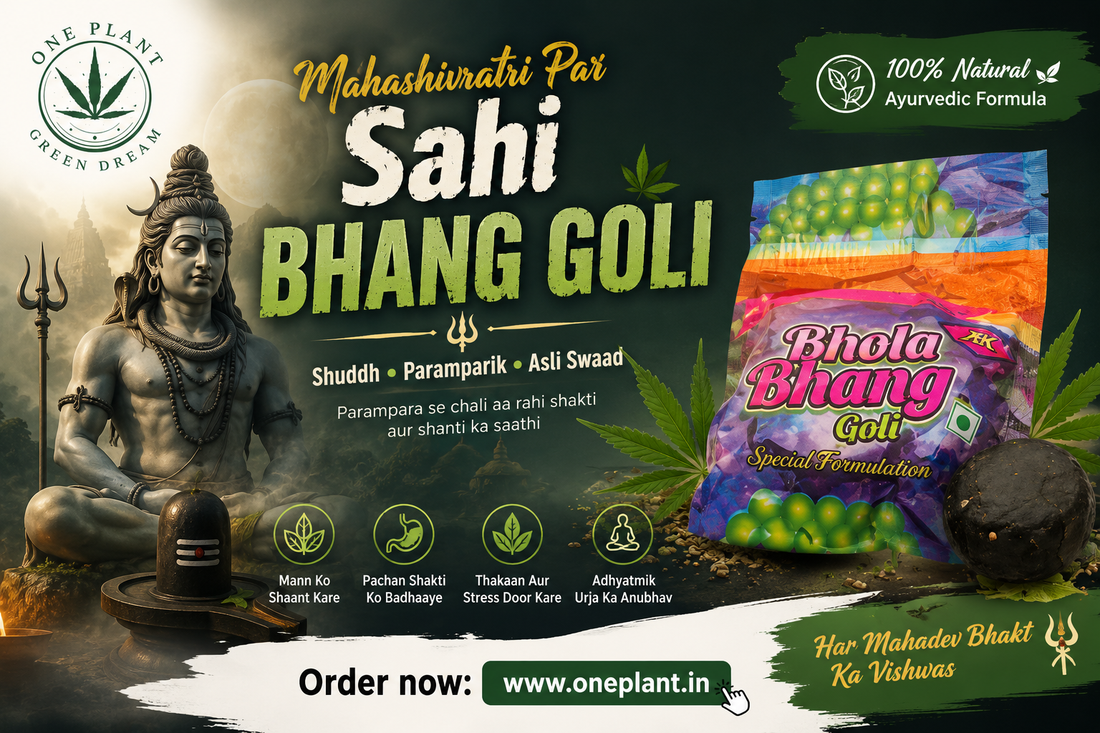 Mahashivratri Par Sahi Bhang Goli Kaise Chune? Safe & Pure Guide
