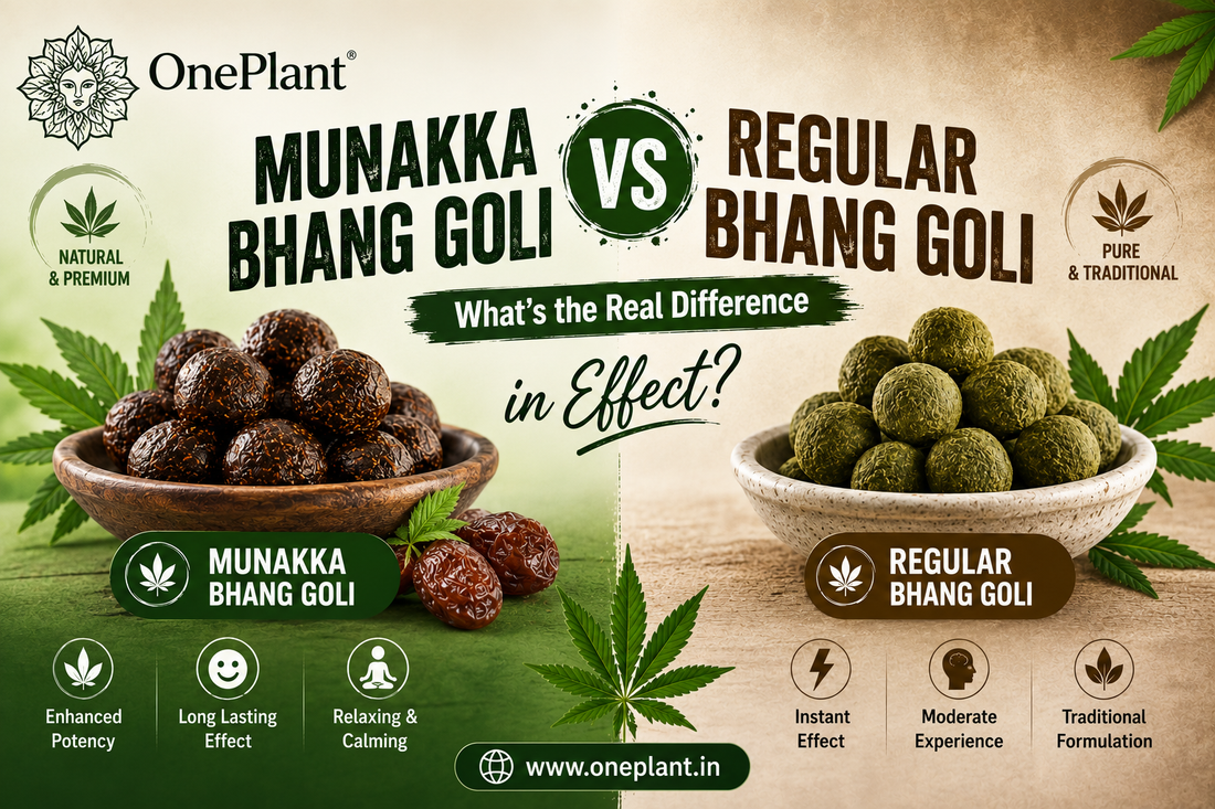 Munakka Bhang Goli vs Regular Bhang Goli | What's the Real Difference in Effect?
