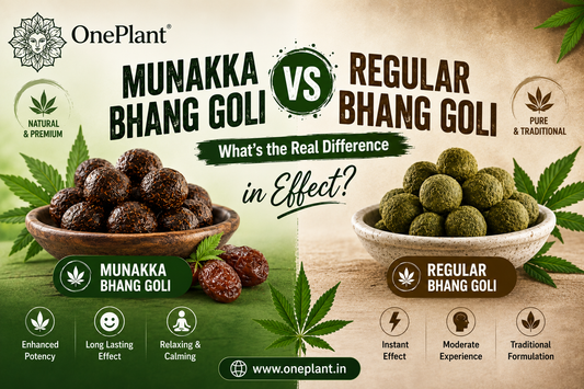 Munakka Bhang Goli vs Regular Bhang Goli | What's the Real Difference in Effect?