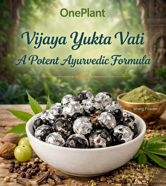 Vijaya Yukta Vati - Pack of 30 Pills